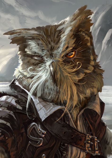 Owl Arakokra Dnd, Owlin Rogue Dnd, Fantasy Races, Dungeons And Dragons Characters, Dnd Art, Dungeons And Dragons Homebrew, Fantasy Rpg, Dnd Characters, Character Portraits