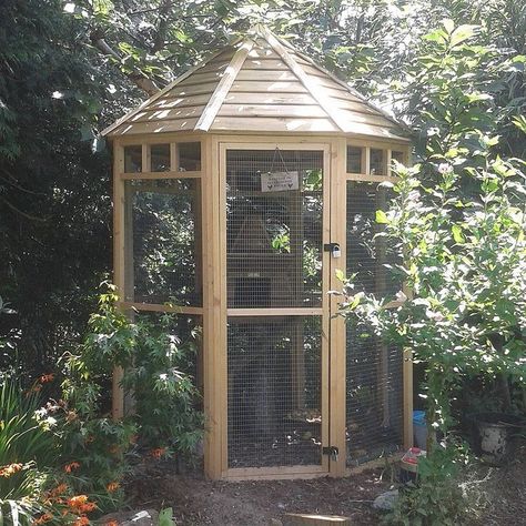 Aviary Ideas, Backyard Treehouse, Cat Patio, Bird Aviary, Easy Backyard, Pond Design, Garden Greenhouse, Boutique Interior, Bird Cages