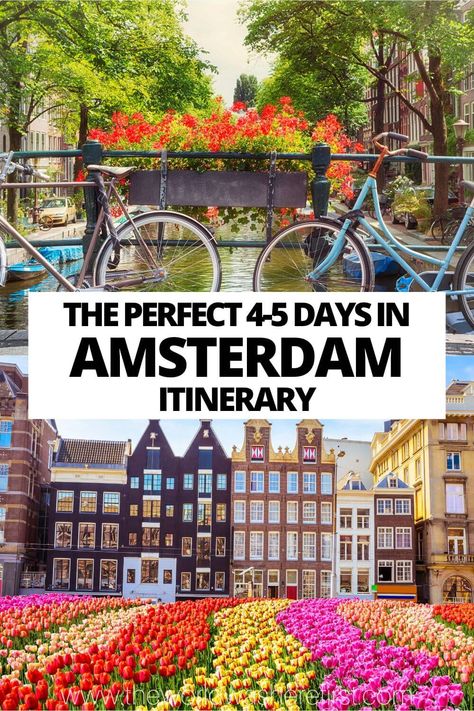 This Amsterdam itinerary is a great way to map out how to spend up to 5 days exploring the Dutch capital! Amsterdam Day Trips, Best Hotels In Amsterdam, 3 Days In Amsterdam, Amsterdam Itinerary, Egypt Resorts, Visit Amsterdam, Netherlands Travel, Amsterdam Travel, Cities In Europe