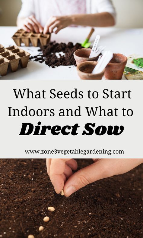 Zone 4 Seed Starting Schedule, Montana Gardening, Montana Garden, Seeds To Start Indoors, Misselthwaite Manor, Zone 4 Gardening, Zone 3 Gardening, Canadian Gardening, Planting Seeds Indoors