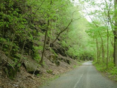 Collegeville Pa, Happy Birthday Steve, Bicycle Trail, Montgomery County, Brotherly Love, Bike Ride, Fun Things, Pennsylvania, Phone Number