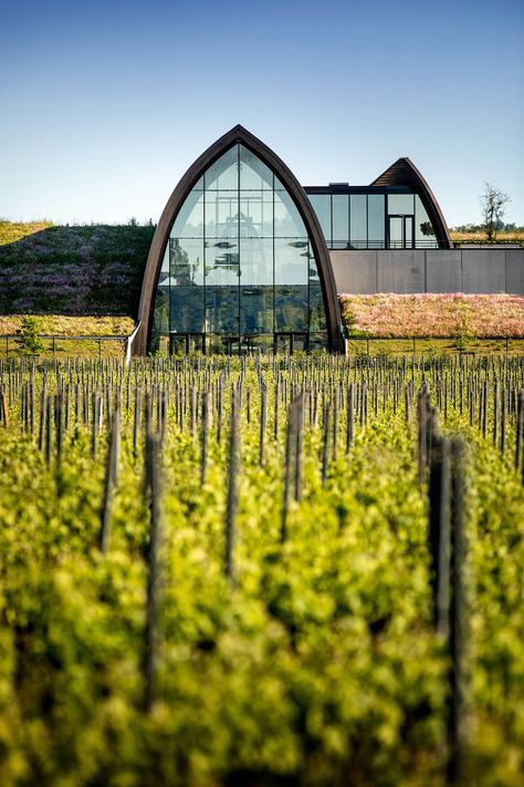 Libourne France, St Emilion, French Countryside, Green Roof, Wine Cellar, Unesco World Heritage Site, Unesco World Heritage, World Heritage Sites, Picture Gallery