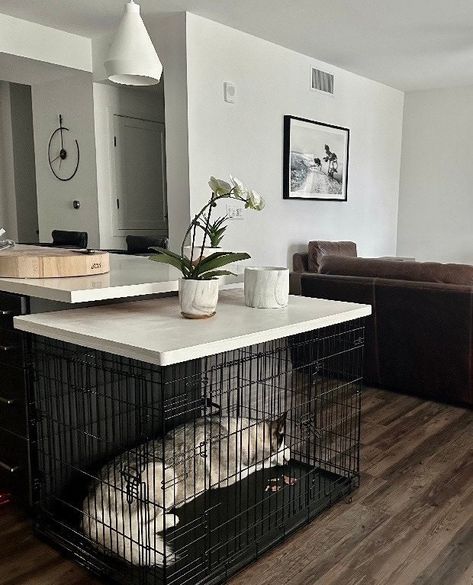 Large Kennel In Living Room, Make A Dog Crate Look Better, Pet Spaces In Home Living Room, Dog Cage In Bedroom, Dog Kennel In Living Room, Disguise Dog Crate, Office With Dog Crates, Table Over Dog Crate, Table With Dog Crate Under