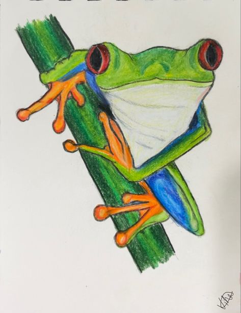 #art #colouredpencilart #prismacolor #frog Frog Pencil Drawing, Color Study Reference, Tree Frog Drawing, Pencil Crayon Drawing, Study Reference, Crayon Drawing, Frog Drawing, Color Study, Pencil Crayon