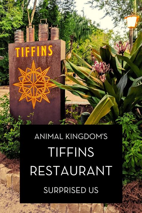 We added our first signature dining experience to our list. We have to say that Tiffins Restaurant At Disney’s Animal Kingdom Park Surprised Us! If you have been here on the blog for a while, you have likely read some of our other dining reviews. By now, you have probably figured out that we are Disney foodies. There is a lot to do, see and experience on a Walt Disney World vacation, but the food experience is really a vacation in itself. Dining At Disney World, Disney World Hollywood Studios, Polynesian Resort, Disney World Epcot, Food Experience, Disney World Magic Kingdom, Grand Floridian, Disney Animals, Walt Disney World Vacations