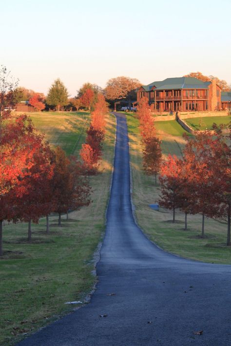 Welcome to The Terry Bradshaw Quarter Horses Ranch Crazy Jane, Horses Ranch, Beautiful Kitchen Ideas, Julia Morgan, Patrick Duffy, Sky Home, Designer Homes, Ranches For Sale, Farm Activities