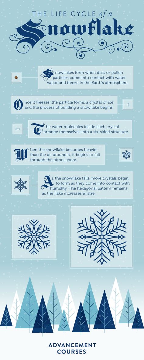 Lesson Plan Inspiration: The Life Cycle of a Snowflake Snowflake Unit Study, Snowflake Lesson, Life Cycle Of A Snowflake, Snowflake Science, Winter Storytime, December Stem, Nature Curriculum, Snowflakes Science, Minimalist Homeschool