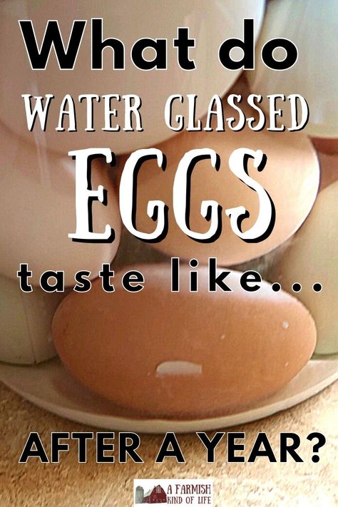 Preserving Farm Fresh Eggs, Egg Water Glassing, Egg Glassing Recipe, Ways To Preserve Eggs, Glassing Eggs Recipe, How To Water Glass Fresh Eggs, Storing Eggs Long Term, How To Preserve Fresh Eggs, How To Store Eggs Long Term