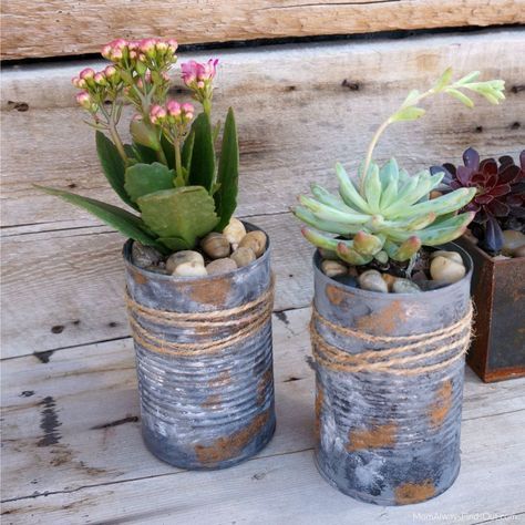 Upcycled Tin Can Planters For Succulents and Other Small Plants Homemade Planters, Planter Crafts, Tin Can Planters, Can Planters, Upcycled Planter, Recycled Tin Cans, Small Succulent Plants, Diy Planter, Tafel Decor