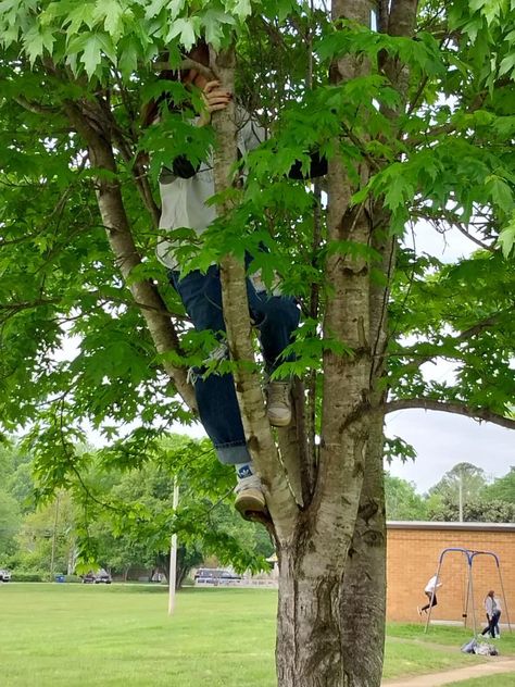 Climbing Trees Aesthetic, Girl Climbing Tree, Nature Girlie, Foto Pov, Farmer Woman, Aesthetic Tree, Life Core, Climbing Girl, Tomboy Aesthetic