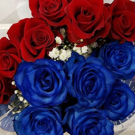 Red And Blue Roses, Flowers Dp, Stem Bouquet, Red And Blue Flowers, Rose Pic, Patriotic Flowers, Blue Roses Wallpaper, Dyed Flowers, Flower Box Gift