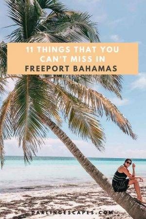 Freeport Bahamas Things To Do, Freeport Bahamas Cruise Port, Bahamas Freeport, Freeport Bahamas, Bahamas Honeymoon, Bahamas Travel, Bahamas Vacation, Bahamas Cruise, Caribbean Vacations