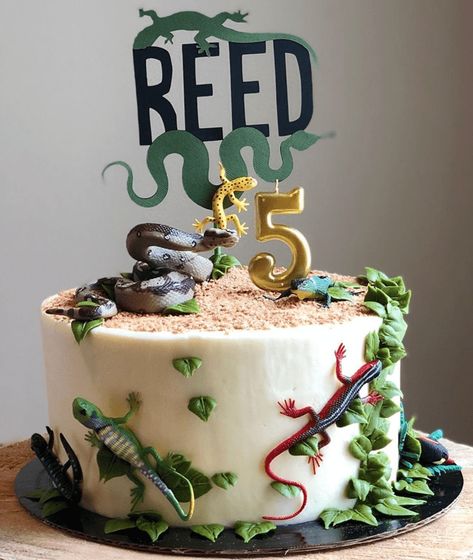 Lizard Cake Design Images (Lizard Birthday Cake Ideas) Reptile Bday Party Ideas, Lizard Birthday Party Ideas, Reptile Theme Cake, Reptile Party Cake, Reptiles Birthday Party Ideas, Reptile Themed Birthday Cake, Lizard Cakes For Kids, Lizard Birthday Cake Ideas, Lizard Themed Birthday Party