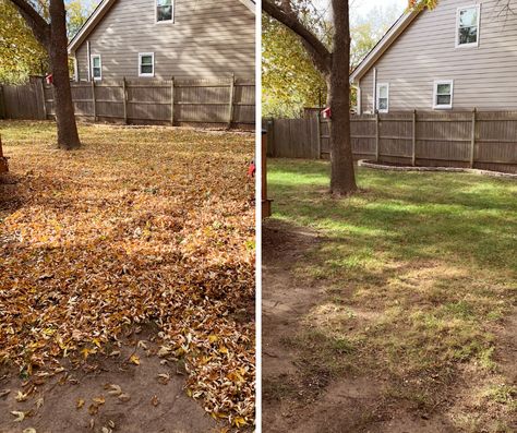 Who's ready for leaf removal season? Here is why you need a leaf removal this fall!🍂 Leaf Clean Up, Fall Landscaping, Removal Company, Is It Worth It, Time Of The Year, Worth It, Clean Up, Kansas City, Kansas