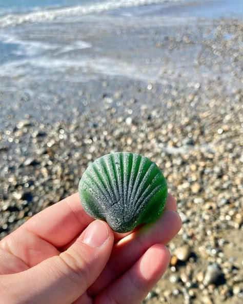 Coconut Summer, Dot Painting Tools, Sea Things, Ocean Treasures, Ocean Rocks, Shell Collection, Sea Glass Beach, Green I, Sea Glass Crafts