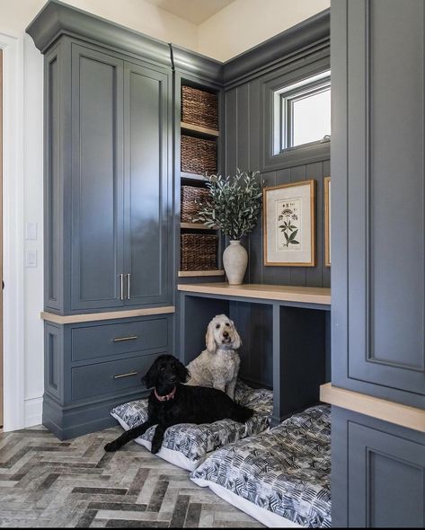 Master Closet Dimensions, Best Area Rugs, Utah Style, Dog World, Tuscan Style Homes, Dog Spaces, Mudroom Decor, Becki Owens, Dog Area