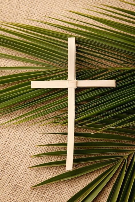 Lent Challenge, Start Of Lent, Happy Palm Sunday, Palm Sunday Decorations, Good Friday Images, Palm Cross, Easter Bible Verses, Bible Artwork, Challenge Ideas