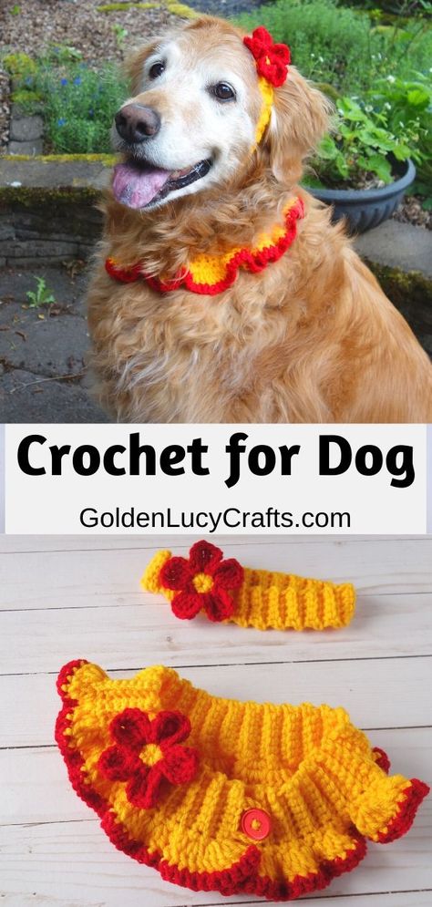 Cute crochet dog accessories – collar and headband embellished with flowers. They will make a beautiful photo prop for any celebration with your four legged friend, also will make a wonderful gift for pet lovers. It is easy to make and is a wonderful project for beginners. Free crochet pattern, crochet for pets. Crochet Dog Headband, Crochet For Pets Free Patterns, Crochet Things For Dogs, Crochet Dog Accessories, Crochet For Dogs, Crochet For Pets, Cute Crochet Dog, Crochet Dog Collar, Dog Scarf Crochet