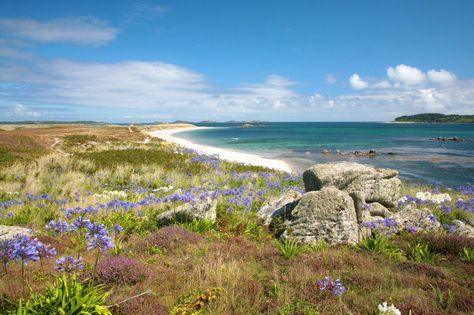 Tresco Abbey Gardens, Scilly Isles, Cornwall England, Remote Island, Isles Of Scilly, Private Island, Stonehenge, The Dunes, Garden Flowers