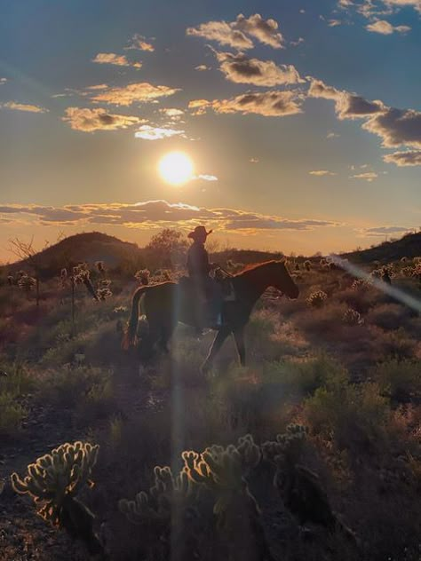 #cowby #arizona #art #beautiful #arizona2021 #roberttopa #photography #az #desert #Cactus #desertlandscape #topaphotography #sunset Arizona Desert Aesthetic, Phoenix Arizona Aesthetic, Arizona Farm, Matt Painting, Arizona Ranch, Western Sunset, Arizona Aesthetic, Cowboy Lifestyle, Arizona Art