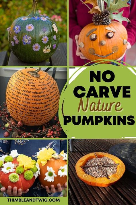 pumpkin decorating ideas Natural Pumpkin Decorating, Pumpkin Decorating Without Carving, Nature Pumpkin Carving Ideas, Pumpkin Decorating Ideas For Kids, Pumpkin Ideas For Kids, Fairy Garden Pumpkin, Pumpkin Decoration Ideas, No Carve Pumpkin Ideas, Autumn Crafts For Kids