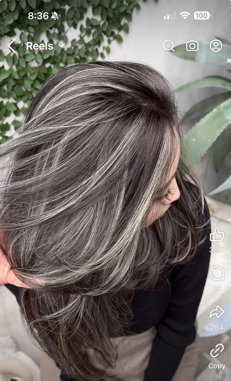 Long Hair Grey Highlights, Silver And Brown Hair Highlights, Medium Brown Hair With Grey Highlights, Cool Toned Blonde Hair Balayage Dark Brown, Dark Brown Gray Hair, Silver Grey Highlights On Dark Hair, Razor Cut Hairstyles Long, Brunette Grey Blending Highlights, Hair Color Ideas To Cover Grey Hair