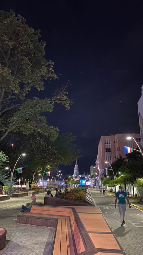 Boulevard del rio Calí Beautiful Beaches Paradise, Trip To Colombia, Fake Life, Cali Colombia, Selfie Ideas Instagram, Travel Bucket List, Beautiful Beaches, Travel Dreams, Cali