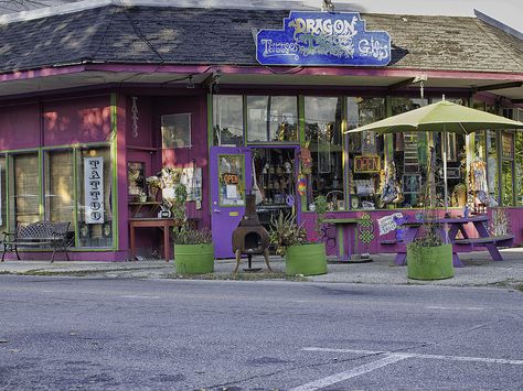 The Dragon Store In Yellow Springs, Ohio Pretty Vacations, Paonia Colorado, Yellow Springs Ohio, Small Cities, Ohio Travel, Yellow Springs, Nature Preserve, Open Minded, Baby Boomer