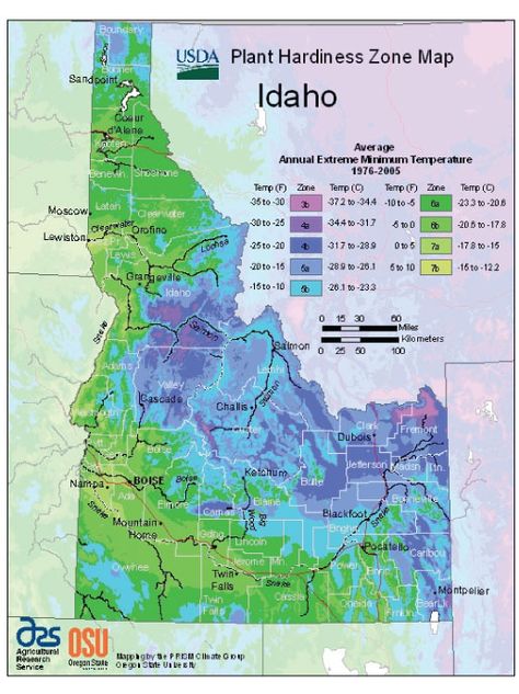 Idaho may be known for its potatoes, but since its USDA Hardiness Zones vary from zone 3 to zone 7, the environment is ideal for many cool-weather crops. Idaho Garden, Planting Zones Map, City Gardening, Vegetable Planting Calendar, Planting Zones, Sandpoint Idaho, Plant Hardiness Zone Map, Planting Calendar, Hardiness Zones