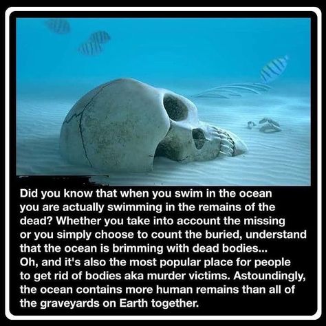 The ocean contains more human remains than all of the graveyards on earth put together...👀🙀 . . . . . #creepyfacts #crazyfacts #spookyfacts… Conspericy Theories, Fun Facts Scary, Swim In The Ocean, Short Creepy Stories, Wierd Facts, Scientific Facts, Scary Facts, Funny Sports Memes, Strange Facts