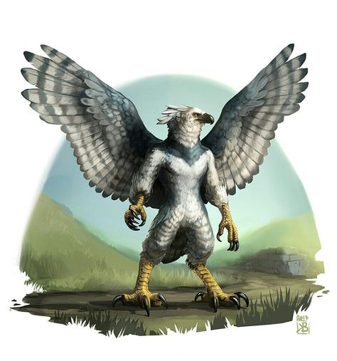 Harpy Bird, Owl Oc, Fluffy Bird, Design A Character, Harpy Eagle, Bird People, Eagle Owl, Eagle Art, Night Background