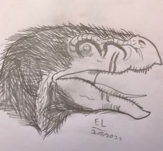 Dino Sketch, Jurasic Word, Dinosaur Reference, Dino Drawing, Evelynn League Of Legends, Jurassic World 3, Dino Dino, Dinosaur Sketch, Dino Art