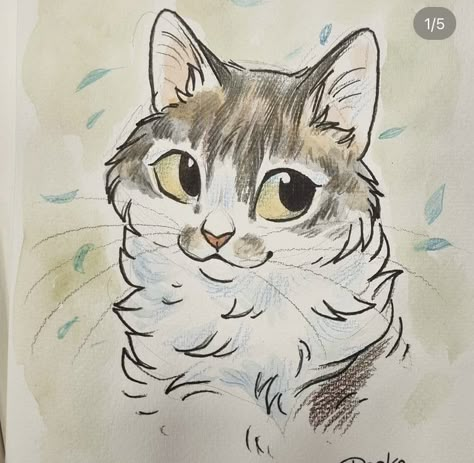 Mainecoon Cat Drawing, Cats Drawing Sketches, Fluffy Cat Drawing, Cute Art Cartoon, Sketch Drawing Ideas, Art Cartoon Drawing, Sketch Anatomy, Cat Drawing Ideas, Simple Cat Drawing