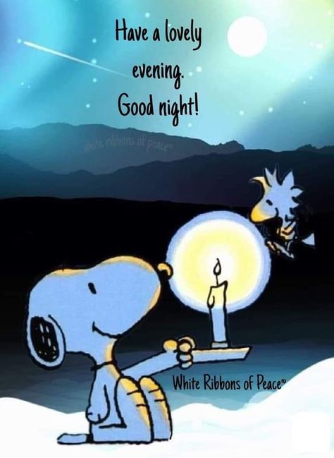 Good Evening Funny Images, Snoopy Evening, Good Night Humor, Snoopy Good Night, Funny Good Night Pictures, Goodnight Pics, Goid Night, Night Hug, Good Night Meme