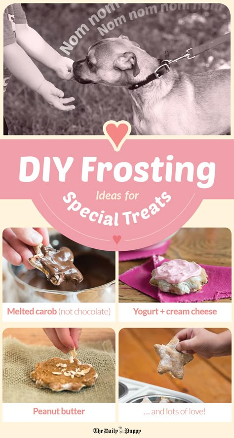 Diy Frosting, Cookies To Decorate, Pup Cakes, Unusual Pets, Aggressive Dogs, Homemade Pet Treats, Dog Cake Recipes, Pet Treats Recipes, Healthy Dog Treats Homemade