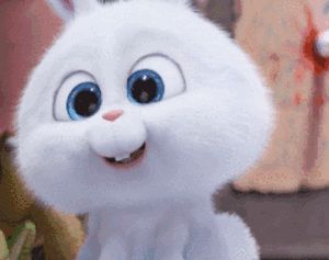 스노우볼 토끼, Snowball Rabbit, Pets Movie, Rabbit Gif, Bunny Cartoon, Abc Coloring Pages, Snow Ball, Cute Bunny Cartoon