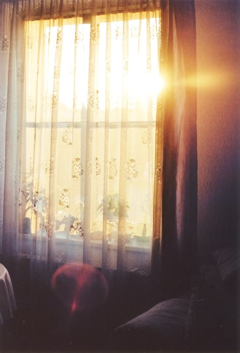 Untitled | Sophie Ha | Flickr Window View, Through The Window, Morning Light, Sheer Curtains, In The Woods, Light And Shadow, Photography Inspiration, The Sun, Good Morning