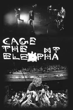 The Wombats, Elephant Poster, Surfing Photos, Cage The Elephant, Band Art, Indie Room, Music Band, Band Posters, Live Photo