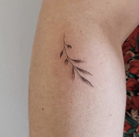 Minimalist Branch Tattoo, Olive Blossom Tattoo, John 15 Tattoo Vines Branches, Olive Branch Wrist Tattoo, Bay Leaf Tattoo, Fine Line Olive Branch Tattoo, Linear Painting, Tattoo On Hip Bone, Olive Tree Tattoos