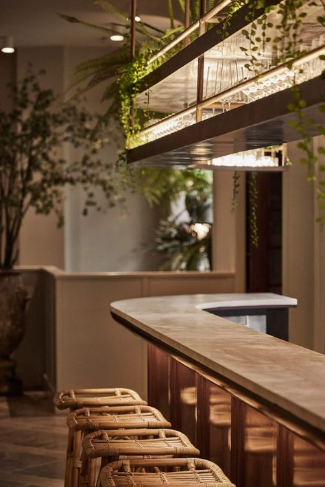 Bar With Plants, Mediterranean Restaurant Design, Scandinavian Restaurant, Noma Restaurant, Coffee Shop Concept, Urban Bar, Interior Design Plants, 1920s Design, Upholstered Banquette