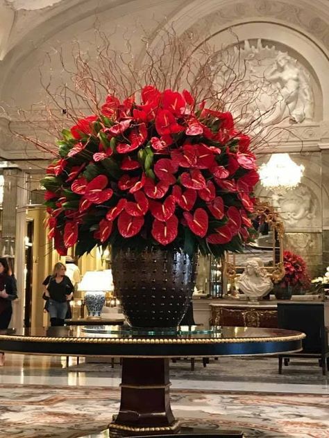 Valentine's Day Hotel, Hotel Flower Arrangements, Christmas Arrangements Centerpieces, Large Floor Vase, Hotel Flowers, Tropical Flower Arrangements, Large Floral Arrangements, Tropical Flower Plants, Corporate Flowers