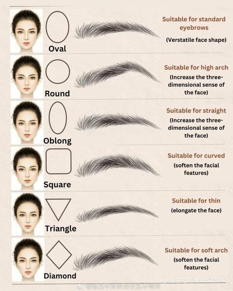 Threading Eyebrows Shape, What Eyebrows Suit My Face, Brows For Face Shape, Eye Brow Shapes For Round Face, Eyebrow Shapes Chart, Eyebrows Round Face, Best Eyebrow Shape For Your Face, Rounded Brows, Eyebrows Face Shape