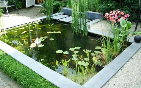 Pond Bridge, Square Pond, Stone Water Features, Modern Pond, Victorian Gardens, Above Ground Pond, Garden Pond Design, Small Pond, Pond Water Features