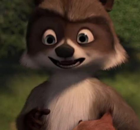 Rj Over The Hedge, Over The Hedge, Cartoon Pics, Hedges, Dreamworks, Disney Pixar, Pixar, Rocky, Fan Art