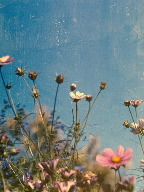 Floral Vintage Aesthetic, Vintage Floral Photography, Cool Vintage Aesthetic, May Vibes Aesthetic, Vintage Asthetic Picture, Old Vintage Photos Aesthetic, Bright Vintage Aesthetic, Old Photography Aesthetic, Being Free Aesthetic