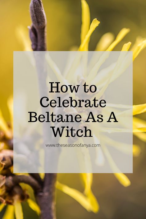 How to Celebrate Beltane as a Witch: Beltane 2023 Beltane Incense Recipe, Beltane Meaning, How To Celebrate Beltane, Beltane Spells, Beltane Traditions, What Is Beltane, Beltane Recipes, Witchy Holidays, Celebrate Beltane