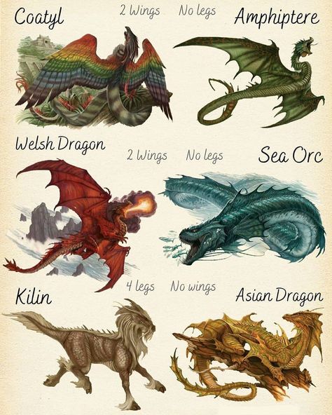 Dragons & Monsters on Instagram: “🐲What's your favorite species? 🐲 Follow @dragons_monsters  for the best dragon artworks ____________________________________ 🐲❤️TAG YOUR…” Dragon Poses, Elemental Dragons, Types Of Dragons, Mythical Creatures Fantasy, Ancient Dragon, Dragon Images, Cute Reptiles, Fairy Dragon, Dragon Pictures