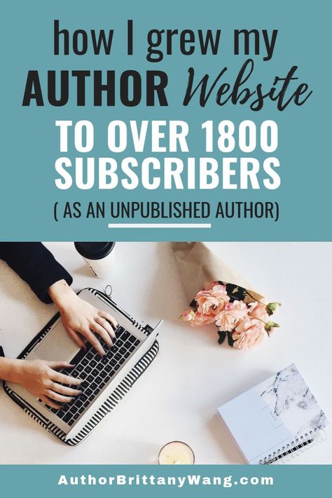 Newsletter Website, Author Marketing, Author Website, Subscriber Count, Author Platform, Author Branding, Book Editing, Book Writing Tips, Romance Authors