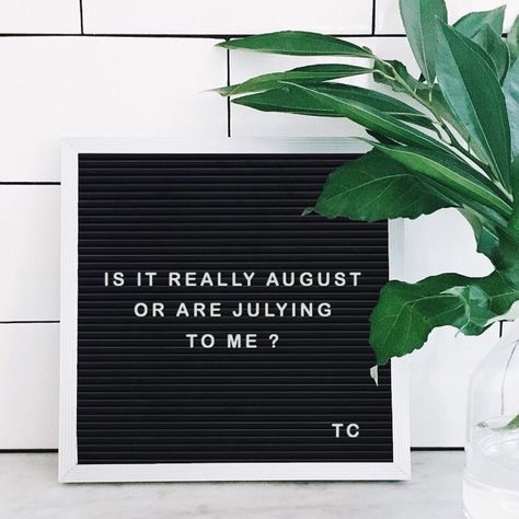 August must be a man! Summer Letter Board, Quotes August, Letterboard Signs, Letter Board Quotes, Message Board Quotes, Summer Quote, Felt Letter Board, Word Board, Trust Quotes