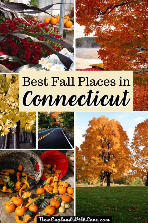 7 Fabulous Places for Fall Foliage in Connecticut | New England With Love Connecticut Fall, Fall In Connecticut, Visit Connecticut, Fall Foilage, Connecticut Travel, New England Road Trip, Fall Road Trip, New England States, Fall Vacations